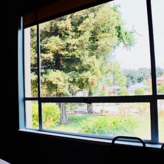 A view from inside looking out at a lush garden through a large window.