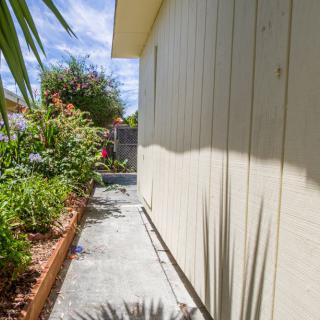 A sunny day in a garden with a sidewalk next to a house.
