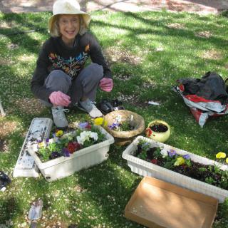 A person is gardening outside, surrounded by flower boxes and gardening tools on a sunny day.