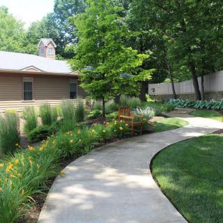 A serene garden pathway lined with lush greenery and blooming plants.