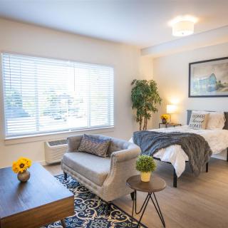 A cozy, well-lit studio apartment with a sofa, bed, and stylish decor.