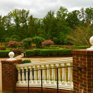 A serene garden view featuring lush greenery and blooming flowers.