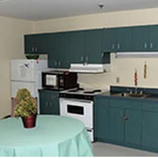 A small kitchen with teal cabinets, a stove, microwave, refrigerator, and a round table with a plant.