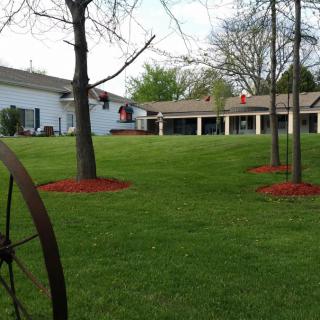 A well-maintained lawn with trees and buildings in the background, featuring a decorative wheel.