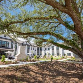 A large, luxurious mansion with an expansive front yard and a prominent tree providing shade.