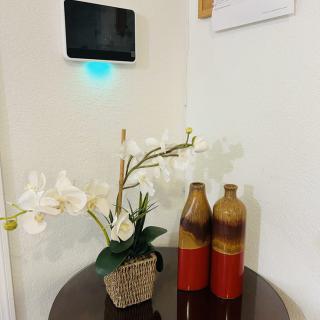 A modern indoor setup with decorative vases and a potted plant on a table.