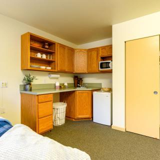 A cozy, compact kitchen area in a small apartment.