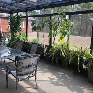 A serene patio space filled with lush greenery and comfortable seating.