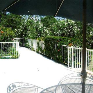 A sunny patio with outdoor seating and a large umbrella, surrounded by lush greenery.