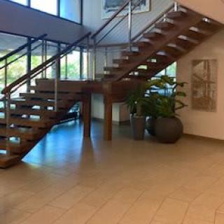 A modern interior featuring a wooden staircase and indoor plants.