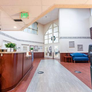 A spacious and modern reception area featuring a wooden desk, seating spaces, and decorative plants.