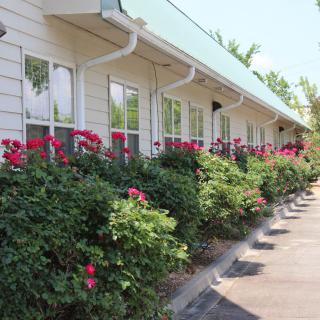 A row of motel rooms with well-maintained landscaping featuring vibrant flowers.