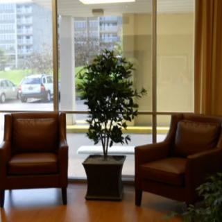 Cozy waiting area with two leather chairs and a potted plant by the window.