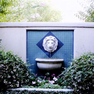 A decorative garden fountain featuring a lion head on a wall surrounded by lush greenery.