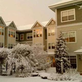 A snow-covered building and trees in the evening light.