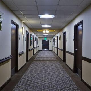 A well-lit hotel hallway with multiple doors on each side.