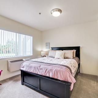 A cozy bedroom featuring a large bed with soft bedding, a bedside lamp, and light streaming in through the window.