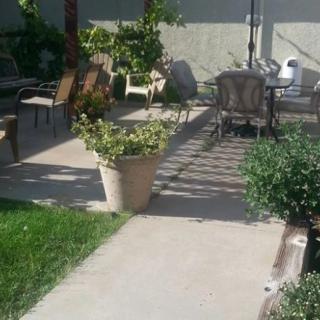 A sunny patio with chairs and potted plants.