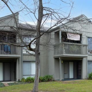 An exterior view of an apartment building featuring balconies and a tree in front.