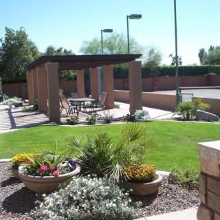 A well-maintained garden area featuring a pergola with seating, surrounded by lush landscaping under a clear sky.