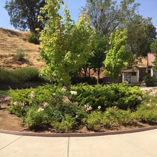 A serene garden featuring lush greenery and a winding pathway.