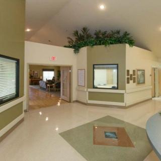 A modern reception area with plants and a clean, welcoming design.