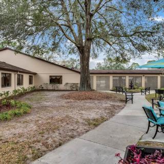 A serene courtyard with outdoor seating and pathways surrounded by trees.