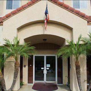A building entrance with palm trees and an American flag overhead.