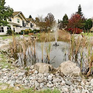 A serene pond with a central fountain surrounded by rocks and reeds, adjacent to a picturesque house and trees.
