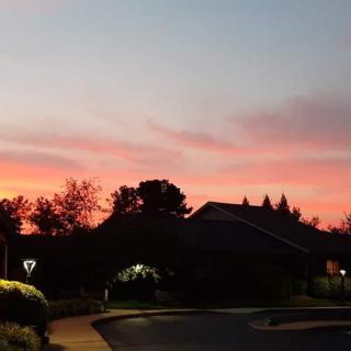 A vibrant sunset paints the evening sky over silhouetted trees and buildings.