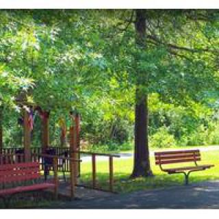 A serene park scene with benches and a playground shaded by lush green trees.