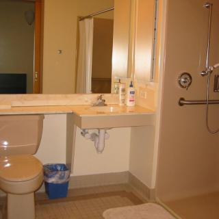 A handicap-accessible bathroom with a toilet, sink, mirror, and shower equipped with grab bars.