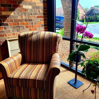 A cozy striped chair bathed in natural light, accompanied by a beautiful orchid plant beside a large window.