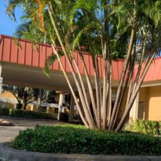 A tropical building exterior with palm trees and a sunny sky.