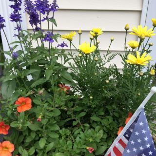 A vibrant garden with purple, yellow, and orange flowers, complemented by a small American flag.