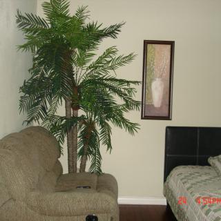 A cozy living space with a couch, potted plant, wall art, and a bed.