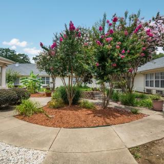 A serene courtyard with vibrant flowering trees and well-maintained landscaping.