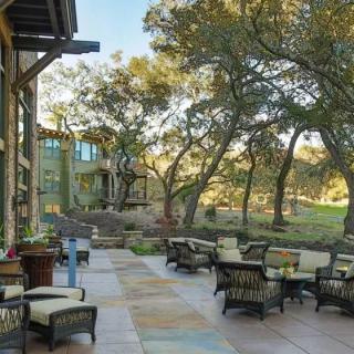 A serene outdoor patio with tables and chairs surrounded by trees and a building in the background.
