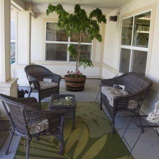A cozy patio area featuring wicker furniture and a large potted plant.