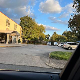 A view of a parking lot beside a building, framed by trees and a clear sky.