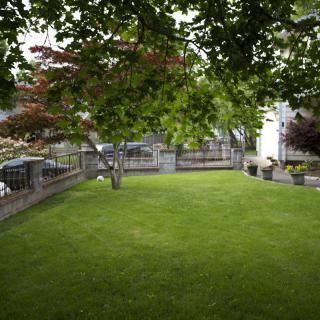A lush green garden with a well-maintained lawn and trees, enclosed by a fence.