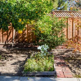 A backyard garden with a wooden fence, featuring trees and a raised planter box.