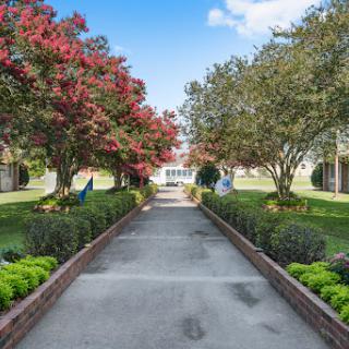 A serene pathway lined with vibrant trees and lush greenery, inviting visitors to explore the tranquil garden.