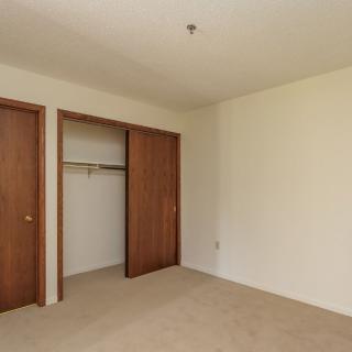An empty room with a closet featuring sliding wooden doors and a carpeted floor.
