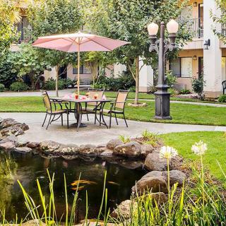 A serene garden setting with a patio table and umbrella beside a pond.
