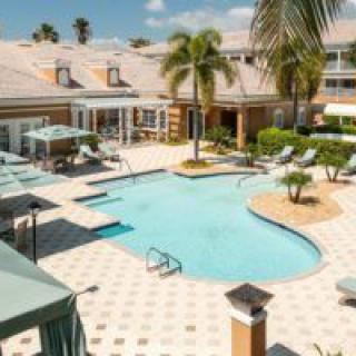 A sunny view of a resort pool area surrounded by palm trees and relaxation spaces.