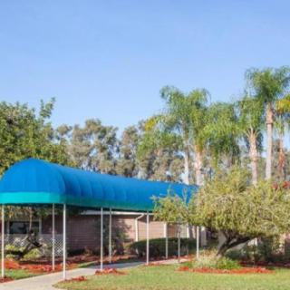A building with a blue canopy and lush palm trees under a clear blue sky.