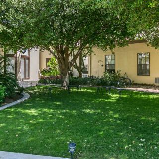 A serene backyard with lush greenery and mature trees offering shade.