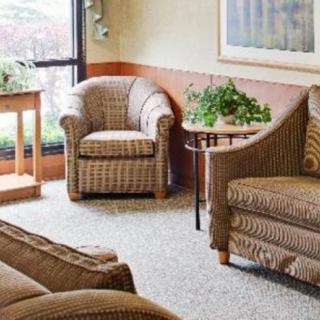 A cozy living room with patterned chairs, a sofa, potted plants, and a side table.