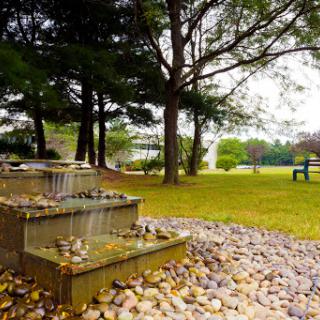 A serene outdoor space featuring a gentle fountain, surrounded by lush trees and colorful stones.
